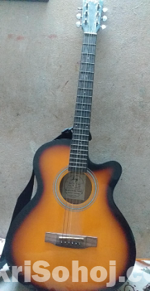 Aquistic Guitar(Joy)